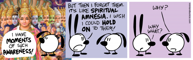 i have moments of such awareness / but then i forget them. it's like spiritual amnesia. i wish i could hold on to them / why? why what?