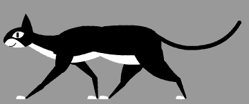 cat4