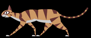 cat5