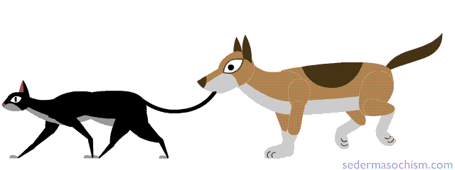 Chad Gadya dog cat