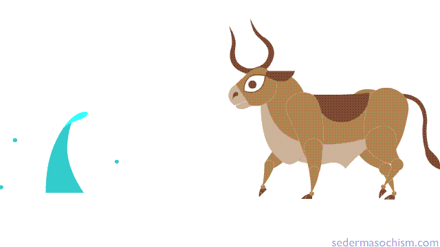 ox5